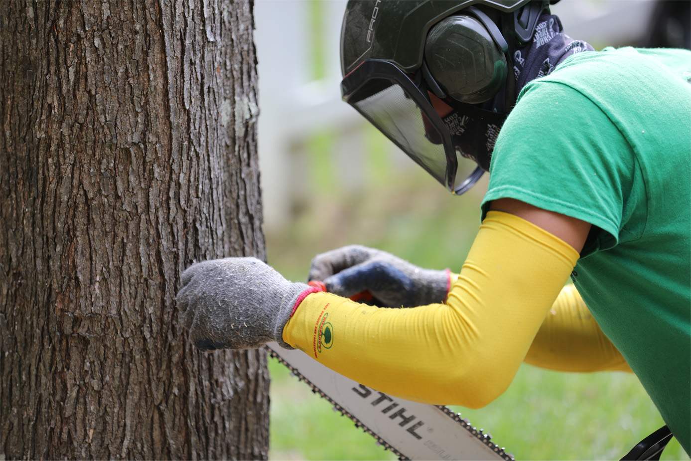 Medrano's tree service job site