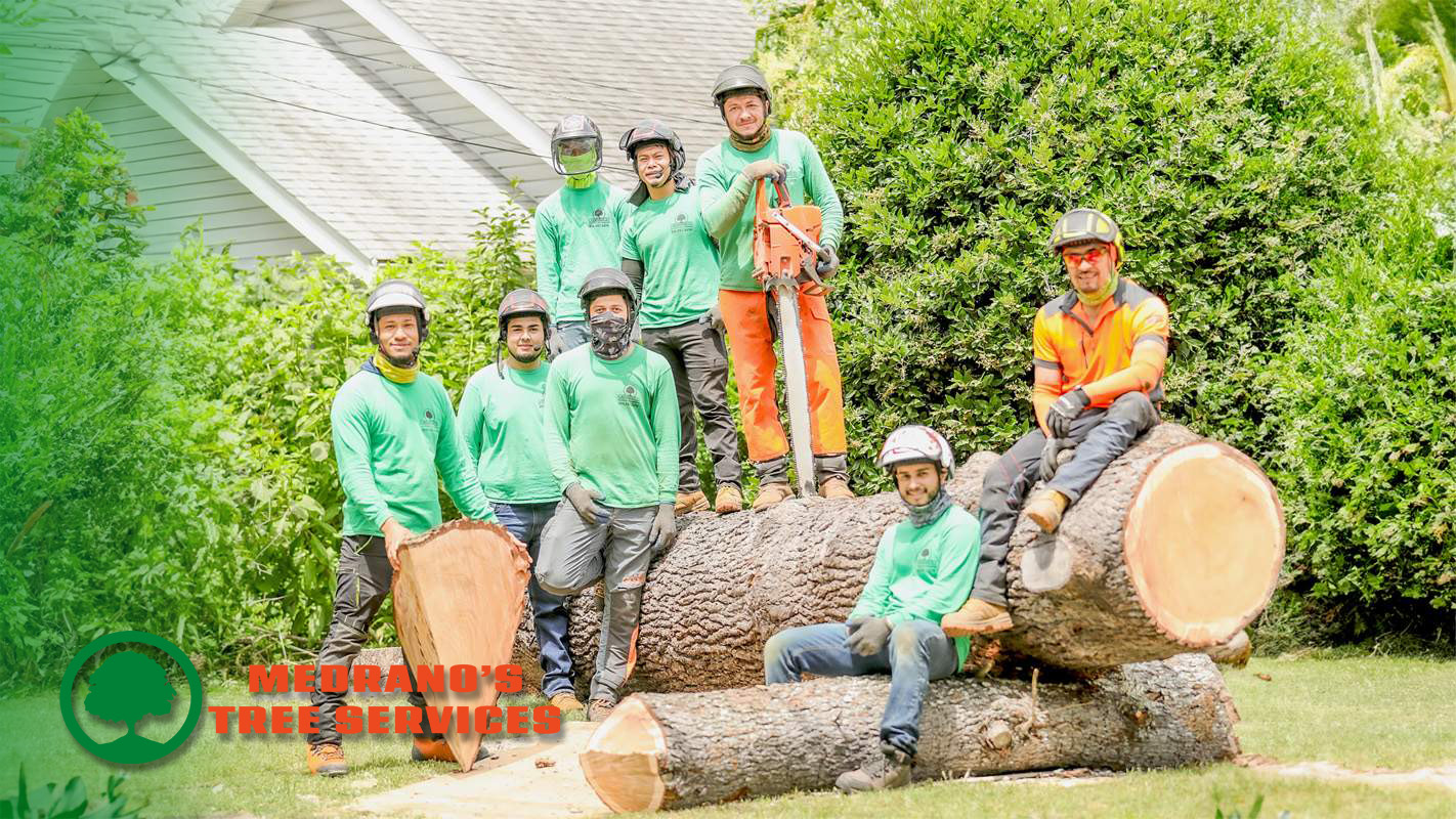 Medrano's tree service crew